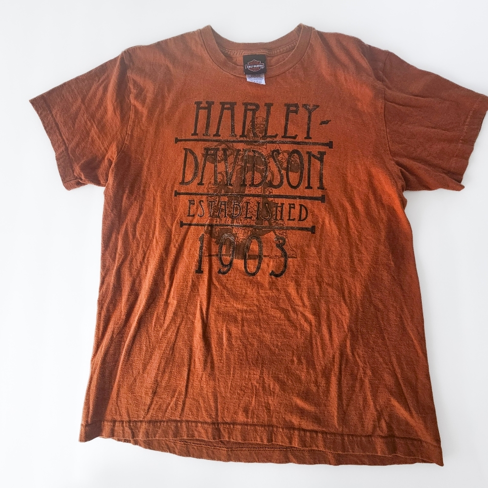 Harley Davidson Mens tee